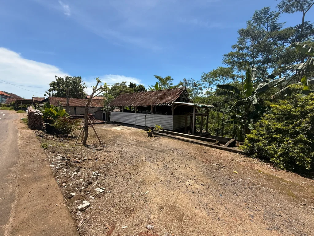 Riverbank Land for Sale in Kedungu with Jungle Views — photo 3