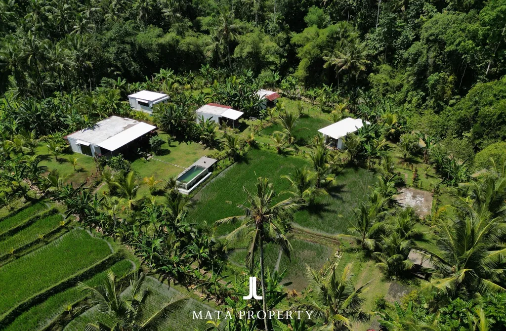 5,000 sqm Jungle and Ricefield Villas in Medewi for Sale — photo 2