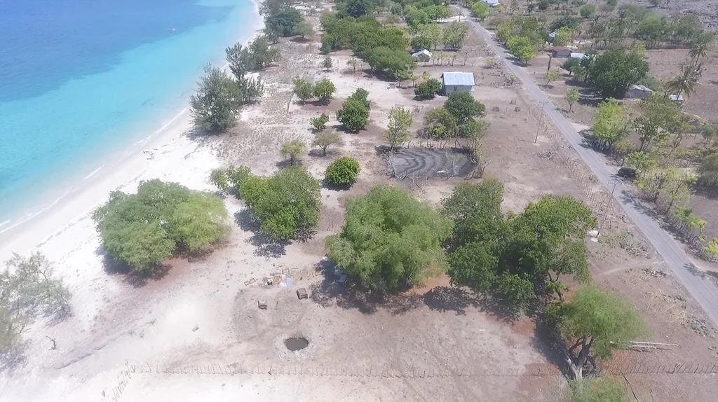 Beachfront Freehold Land for Sale in Central Sumba — photo 3