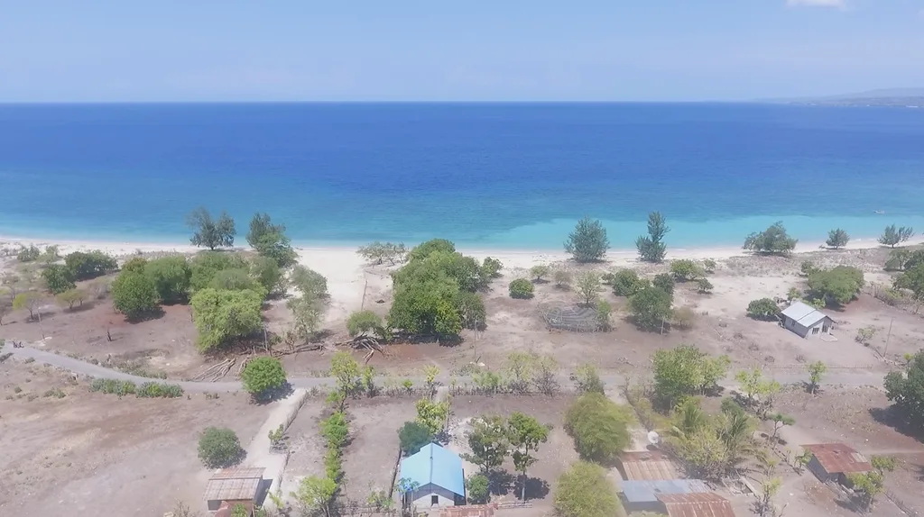 Beachfront Freehold Land for Sale in Central Sumba — photo 5
