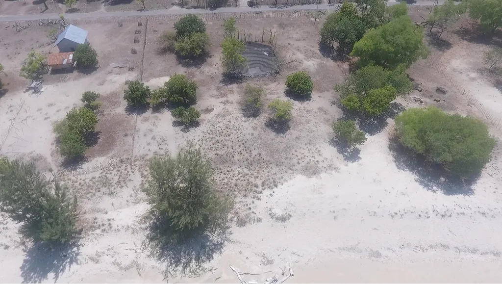 Beachfront Freehold Land for Sale in Central Sumba — photo 4