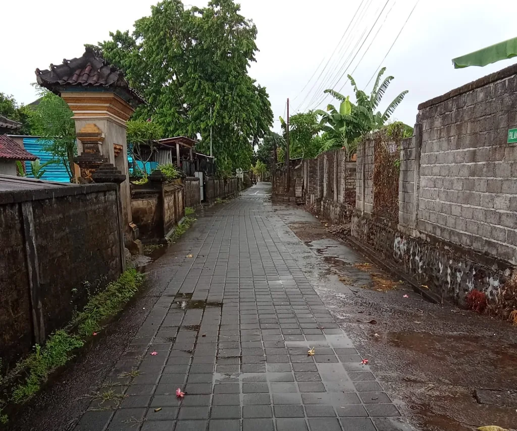 10 Are Residential Land for Lease in Batuan, Gianyar — photo 3