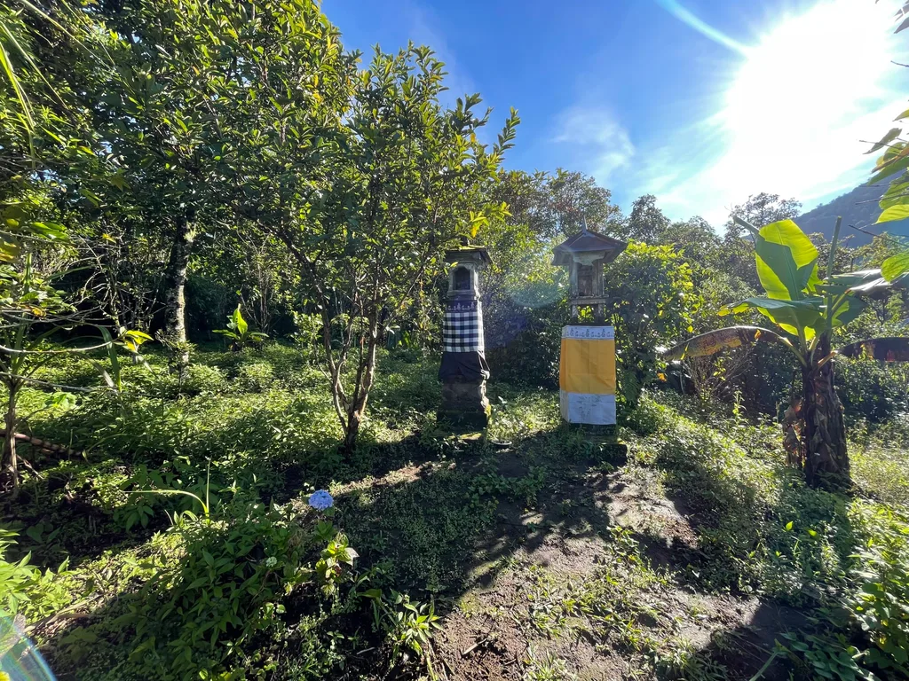 94 Are Freehold Land for Sale in Munduk — photo 5