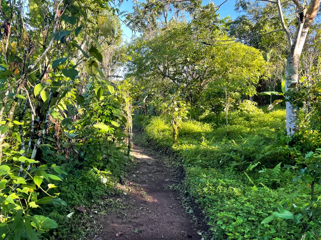 94 Are Freehold Land for Sale in Munduk — photo 2