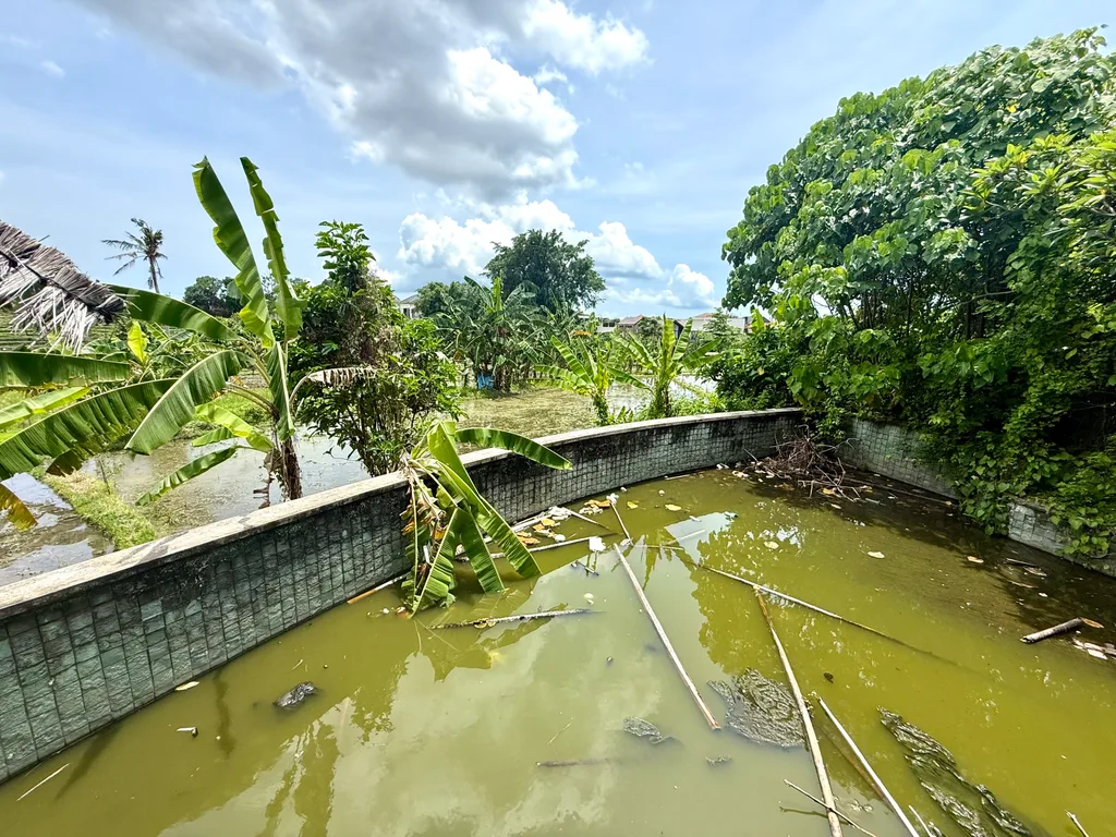 Leasehold Land For Sale in Umalas With Rice Field View — photo 3