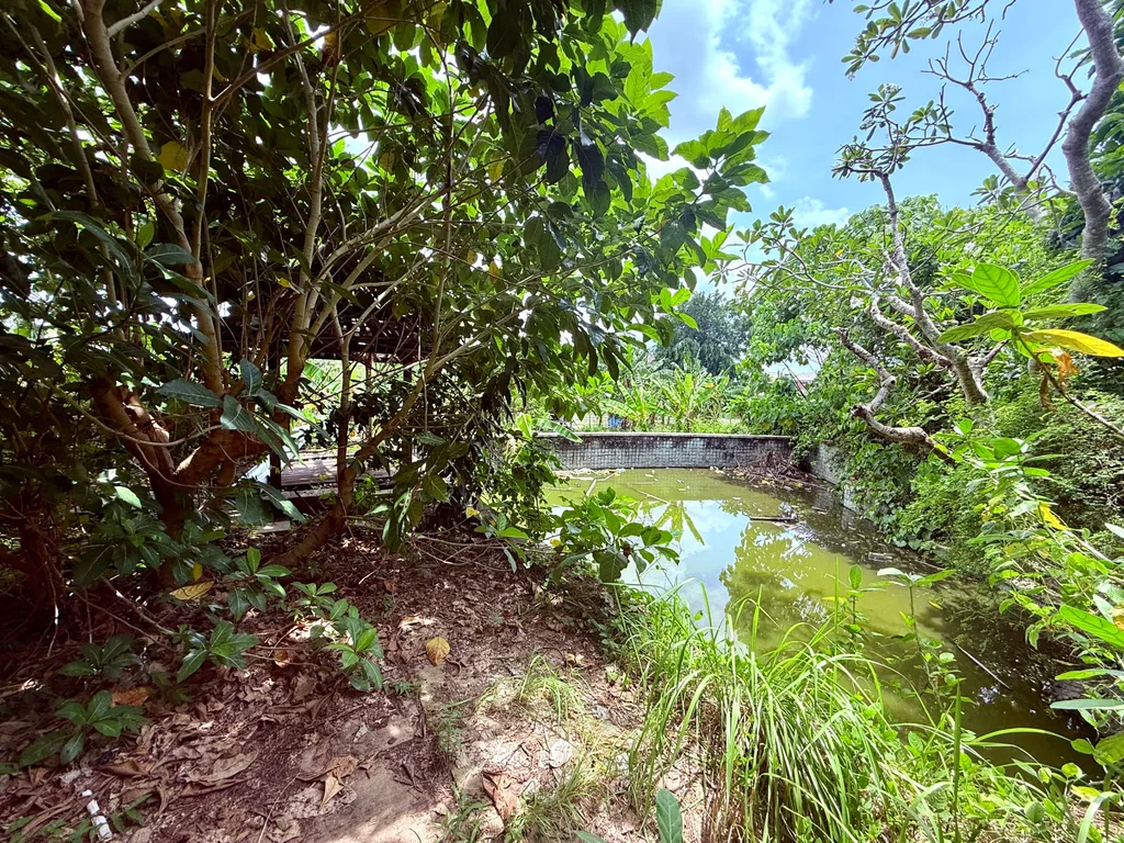 Leasehold Land For Sale in Umalas With Rice Field View — photo 4