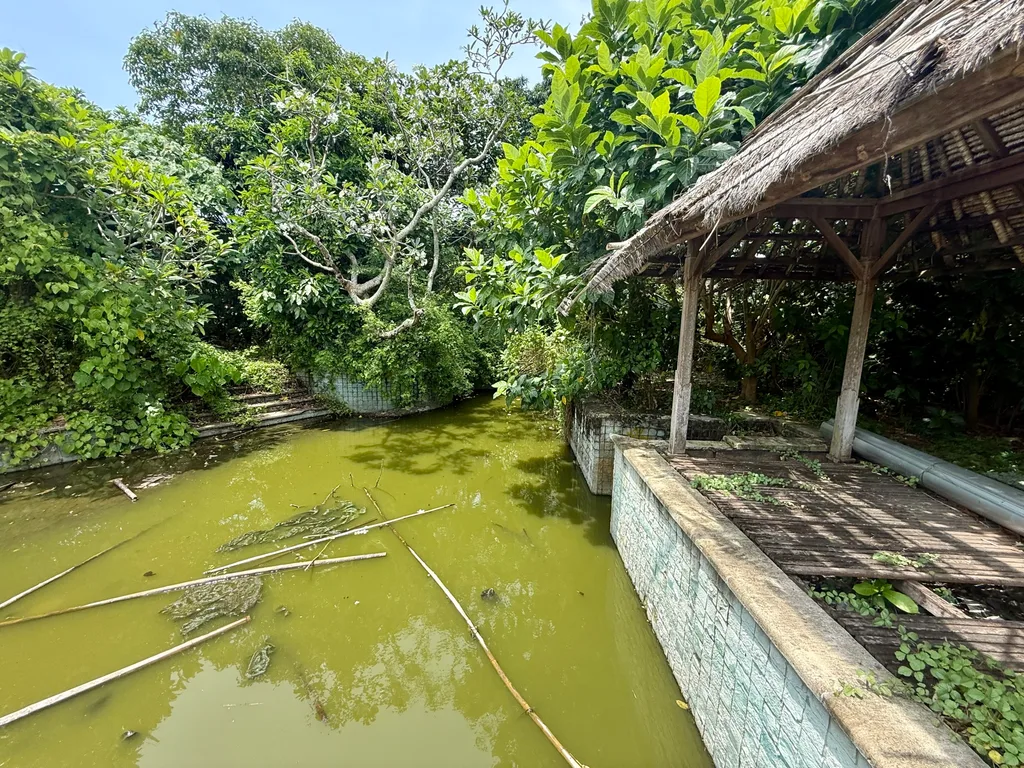 Leasehold Land For Sale in Umalas With Rice Field View — photo 5