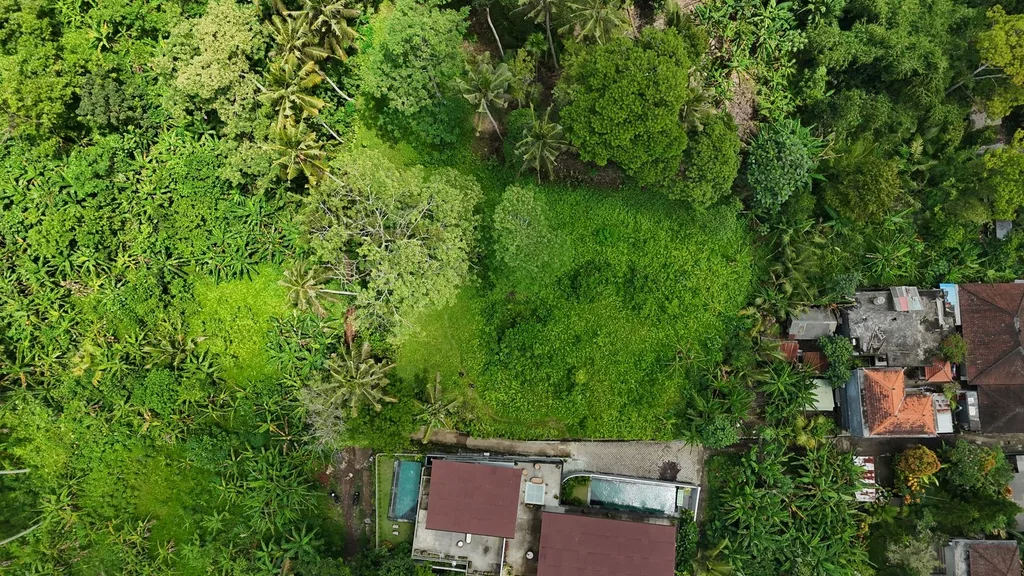 Prime 19.5 Are Land for Lease in Tirta Tawar — photo 2