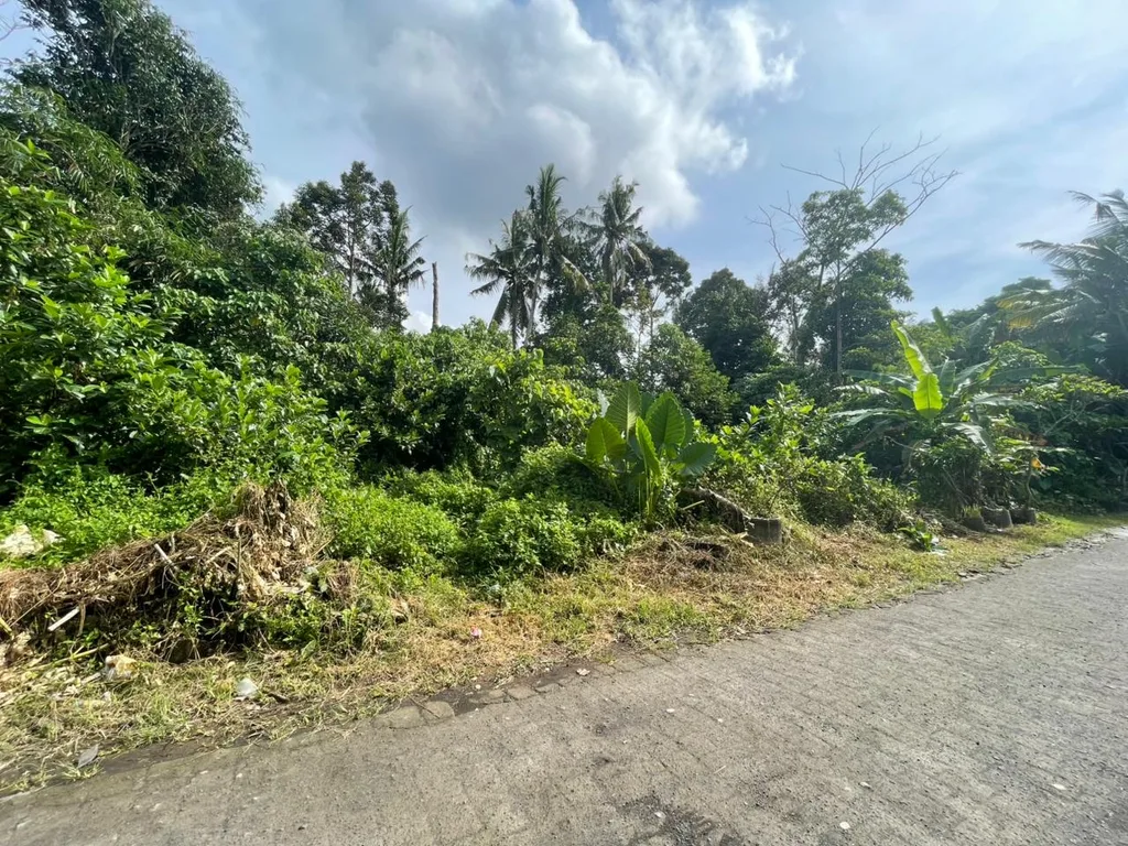 Premium 1,800 sqm Land in Sayan for Sale — photo 3