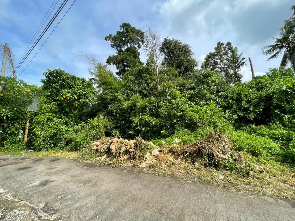 Premium 1,800 sqm Land in Sayan for Sale — photo 4