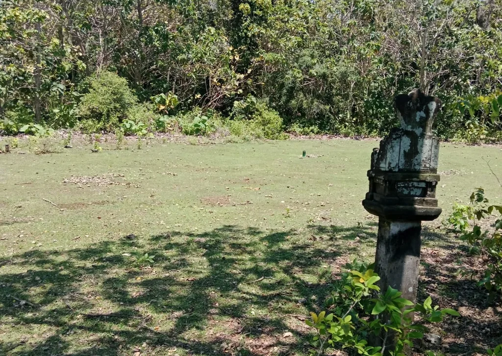Yellow Zone Freehold Land in Balangan — photo 5