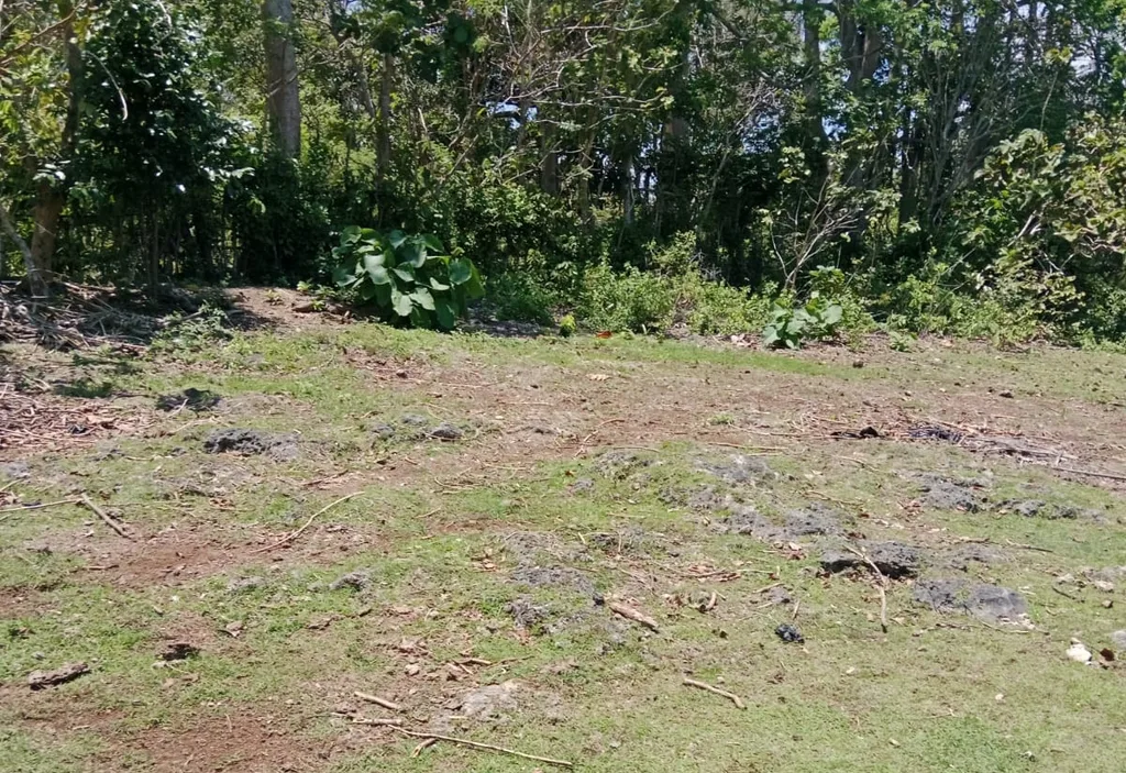 Yellow Zone Freehold Land in Balangan — photo 3