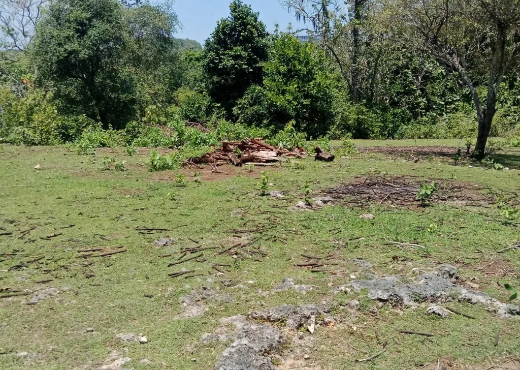 Yellow Zone Freehold Land in Balangan — photo 4