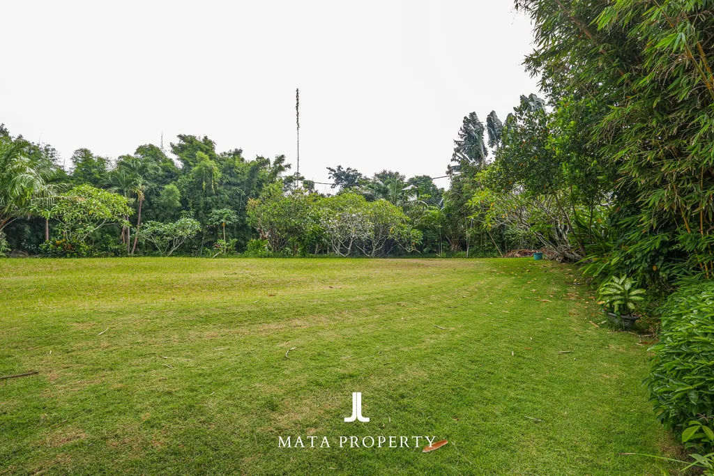 Prime Leasehold Land in Pererenan for Sale — photo 2