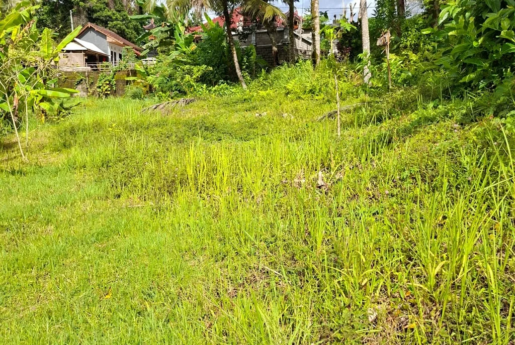 Freehold Land in Tabanan for Sale — photo 2