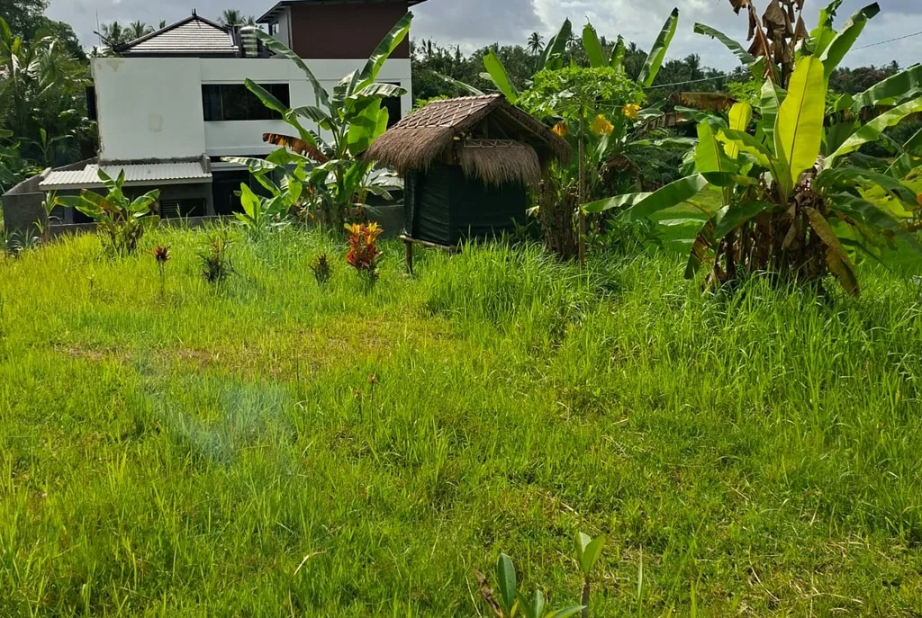 Freehold Land in Tabanan for Sale — photo 3