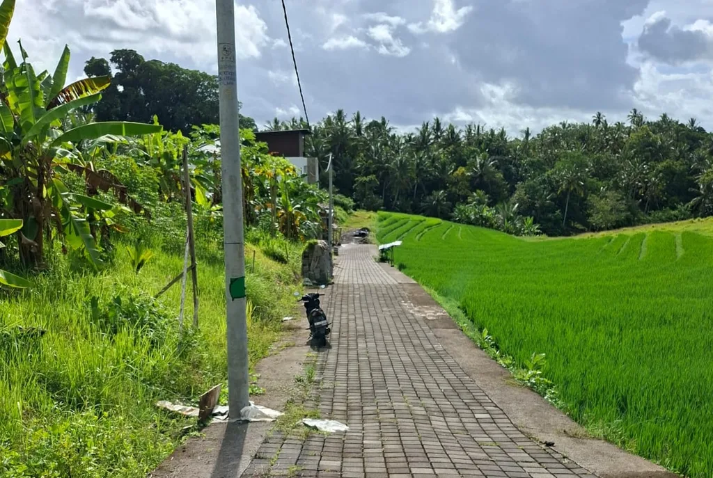 Freehold Land in Tabanan for Sale
