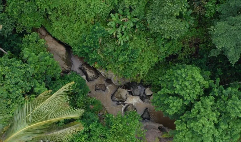 Pink Zone Leasehold Land in Ubud Center for Sale — photo 4