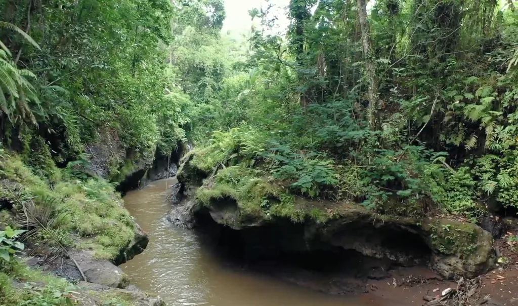 Pink Zone Leasehold Land in Ubud Center for Sale — photo 2