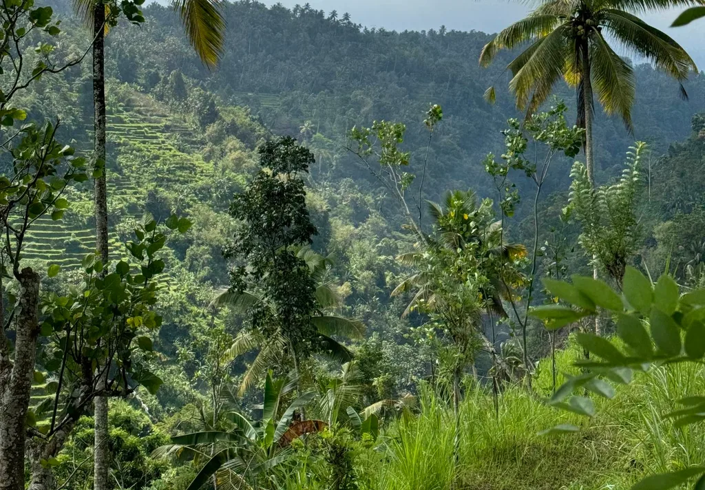 Leasehold Land with Mountain & Waterfall Views in Sidemen — photo 3