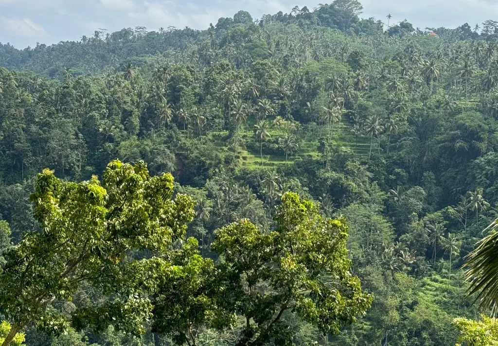 Leasehold Land with Mountain & Waterfall Views in Sidemen — photo 4