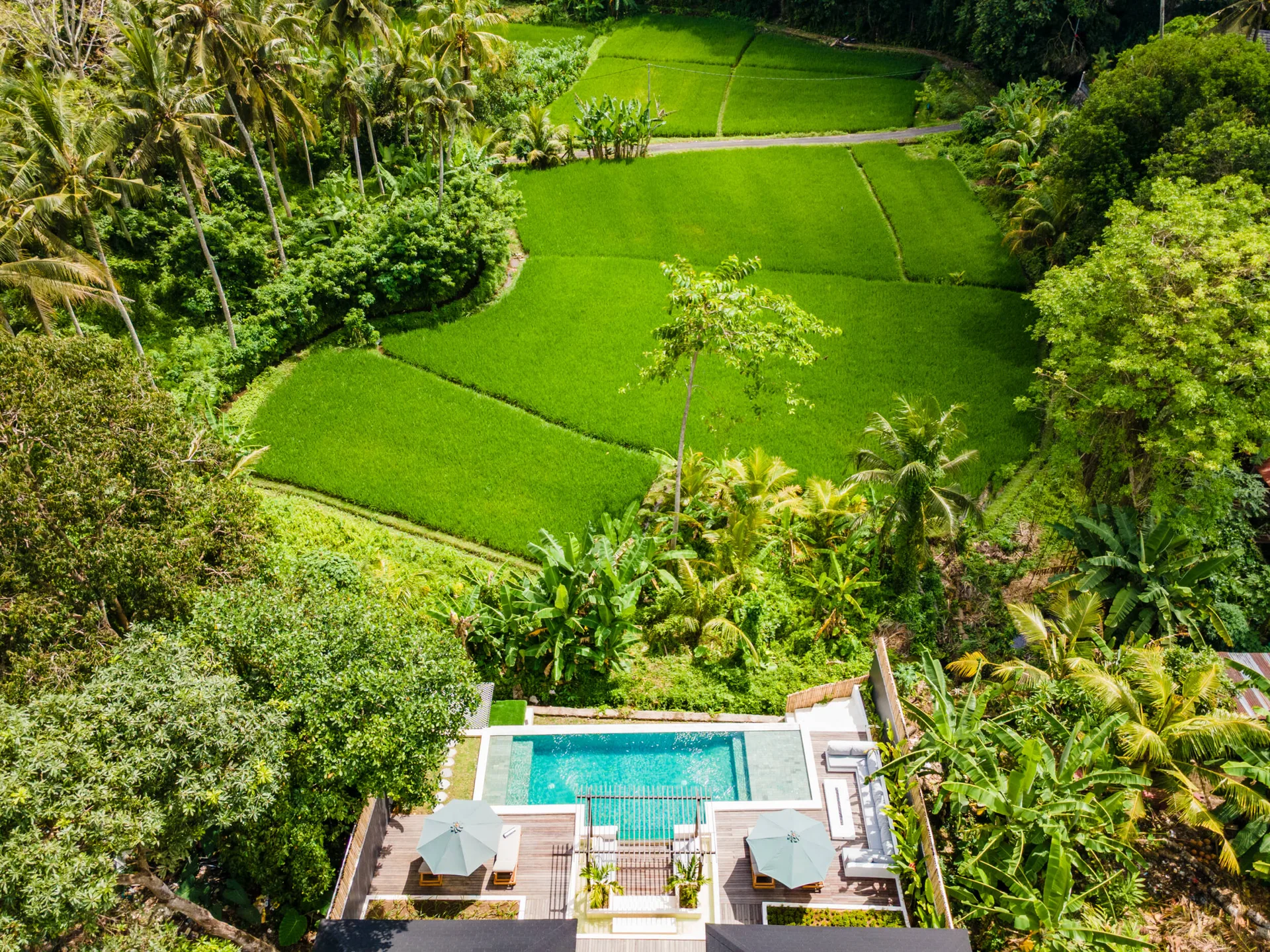 2-Bedroom Villa in Singakerta, Ubud with Rice Field & Jungle Views for Sale