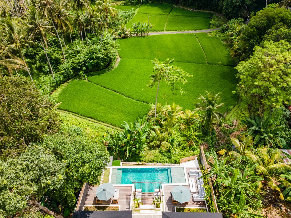 2-Bedroom Villa in Singakerta, Ubud with Rice Field & Jungle Views for Sale