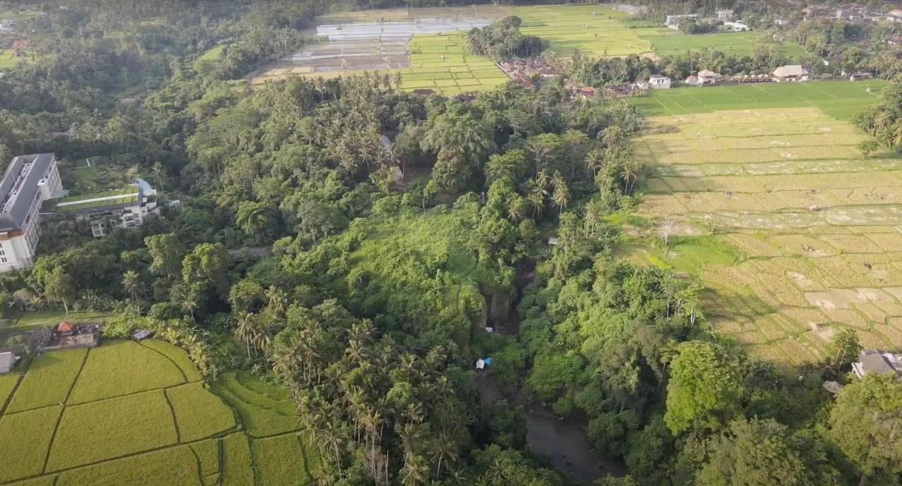 Land with Views in Ubud, Lodtunduh for Sale