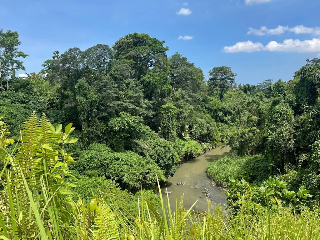 Land with Views in Ubud, Lodtunduh for Sale — photo 2