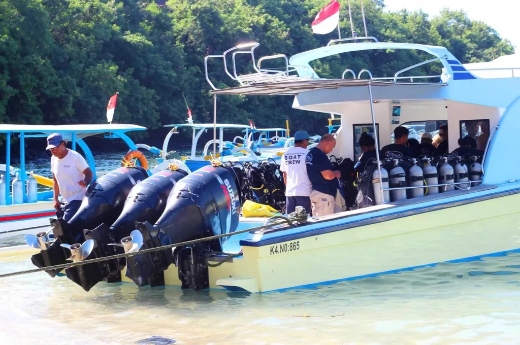 Established PADI Scuba Diving Business for Sale in Bali with Prime Seminyak Land — photo 2