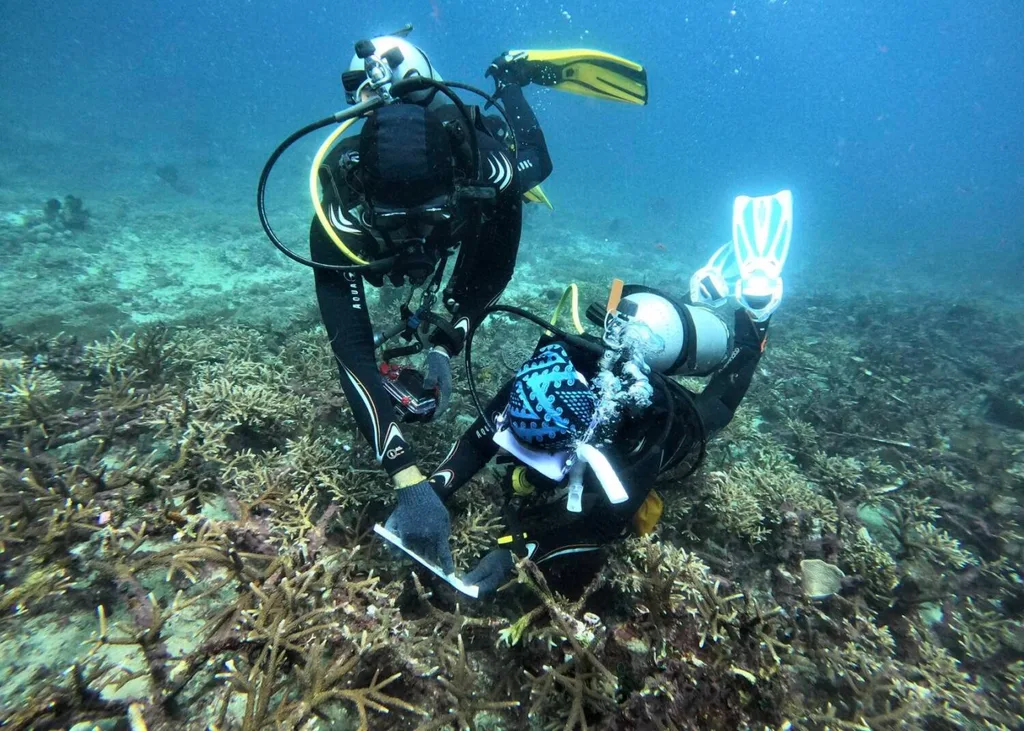 Established PADI Scuba Diving Business for Sale in Bali with Prime Seminyak Land — photo 3