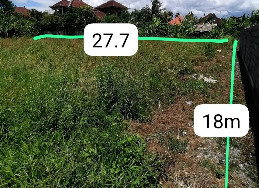 Rare 5 Are Pink-Zone Land in Penestanan Ubud — photo 3