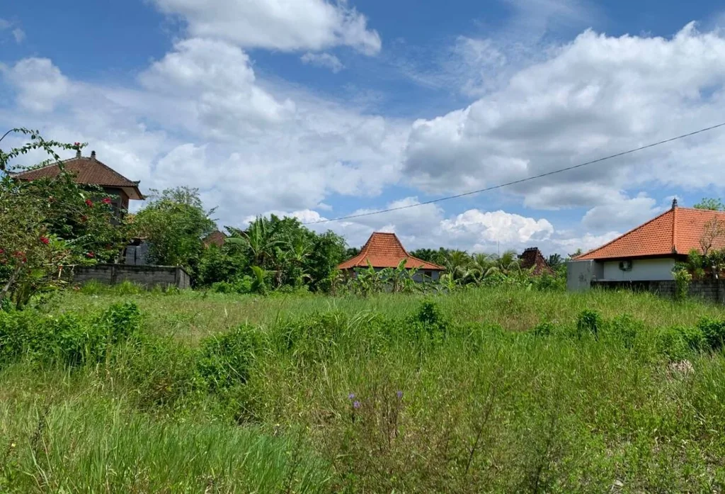 Rare 5 Are Pink-Zone Land in Penestanan Ubud