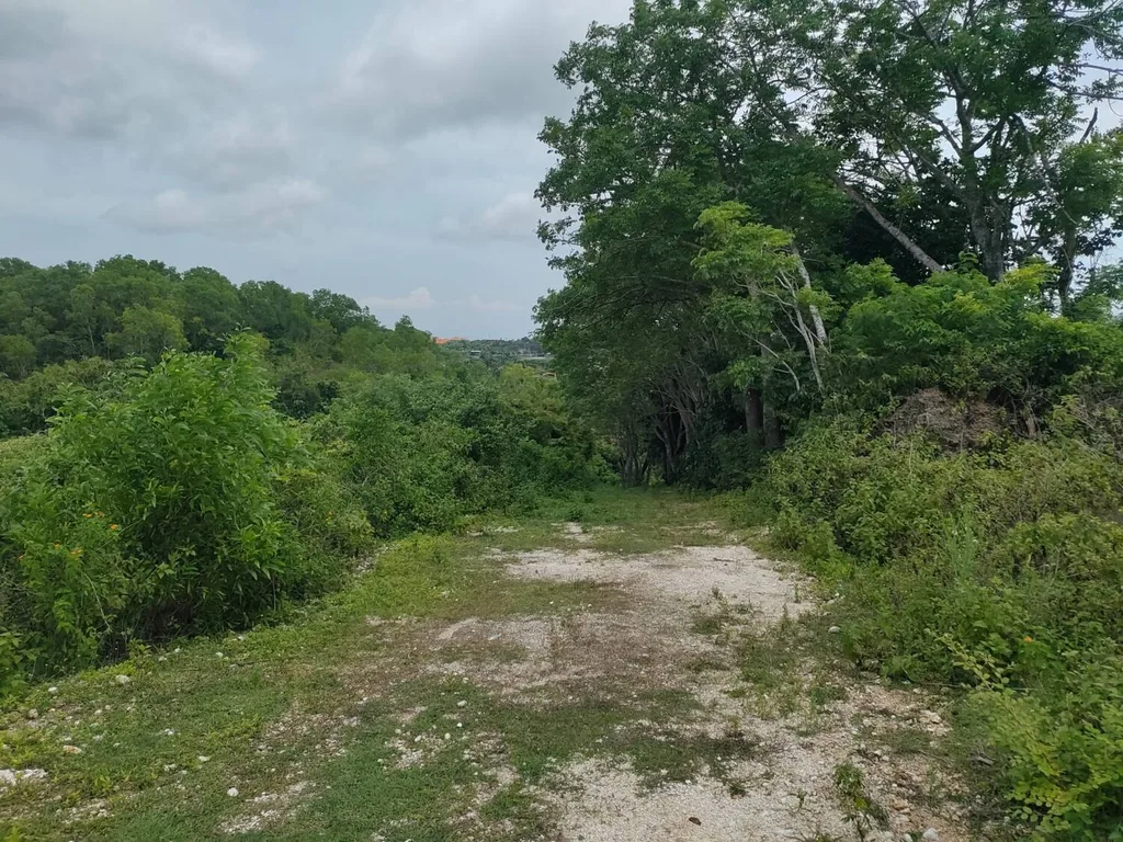 Prime 27 Are Freehold Land with Ocean & Golf Views in Nusa Dua Area — photo 3