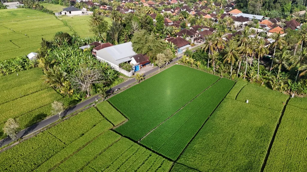 Scenic Leasehold Land in Kaba Kaba for Sale with Rice Field, Mountain and Ocean Views — photo 2