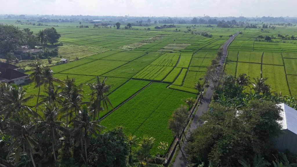 Scenic Leasehold Land in Kaba Kaba for Sale with Rice Field, Mountain and Ocean Views — photo 4