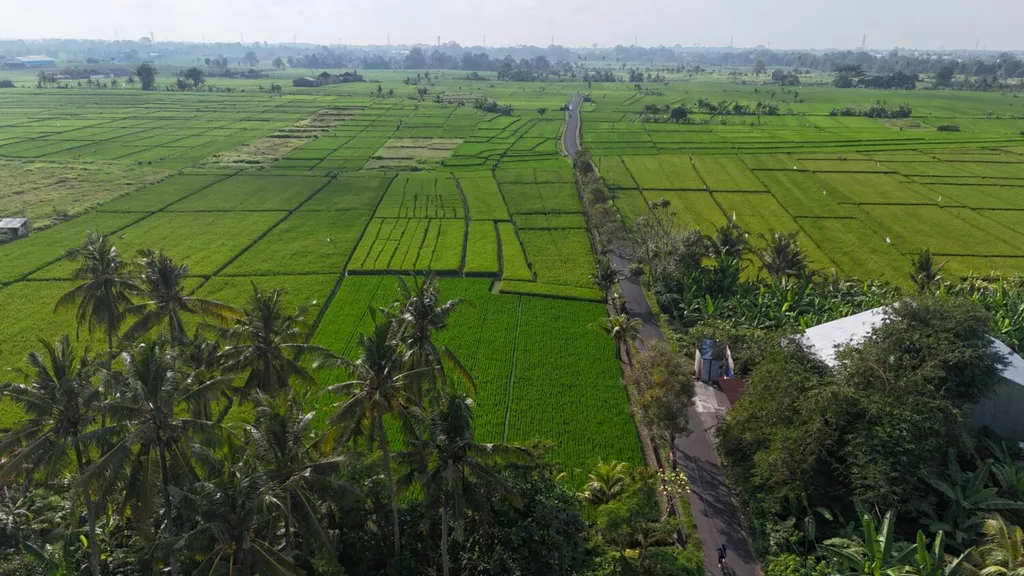 Scenic Leasehold Land in Kaba Kaba for Sale with Rice Field, Mountain and Ocean Views — photo 5
