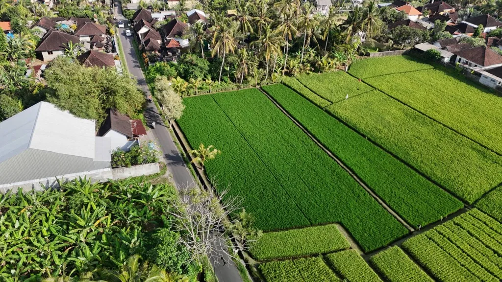 Scenic Leasehold Land in Kaba Kaba for Sale with Rice Field, Mountain and Ocean Views