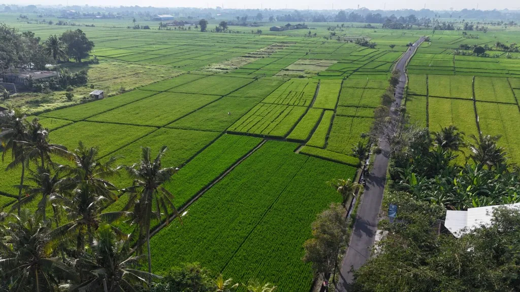 Scenic Leasehold Land in Kaba Kaba for Sale with Rice Field, Mountain and Ocean Views — photo 3