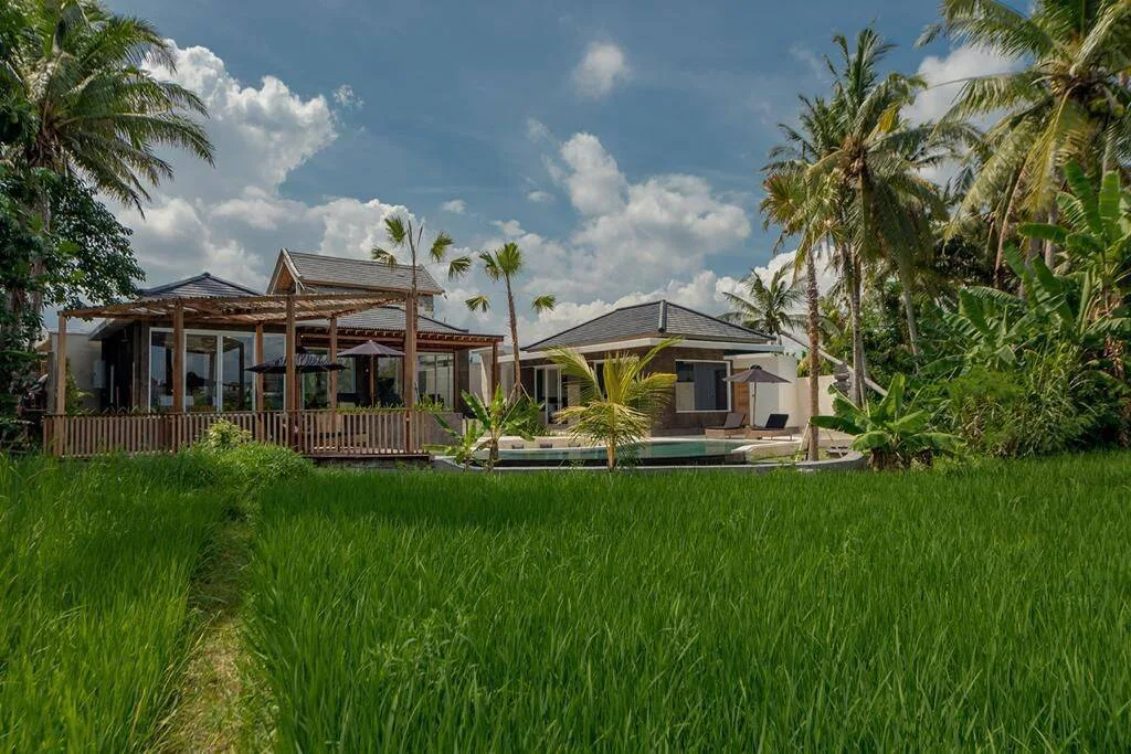 3 Bedroom Rice Field View Villa for Sale in Peliatan, Ubud — photo 2