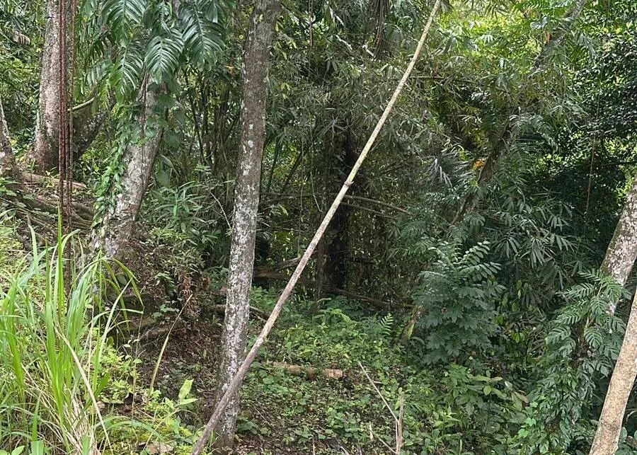 Riverside Land for Lease in Ubud with Petanu River Views — photo 5