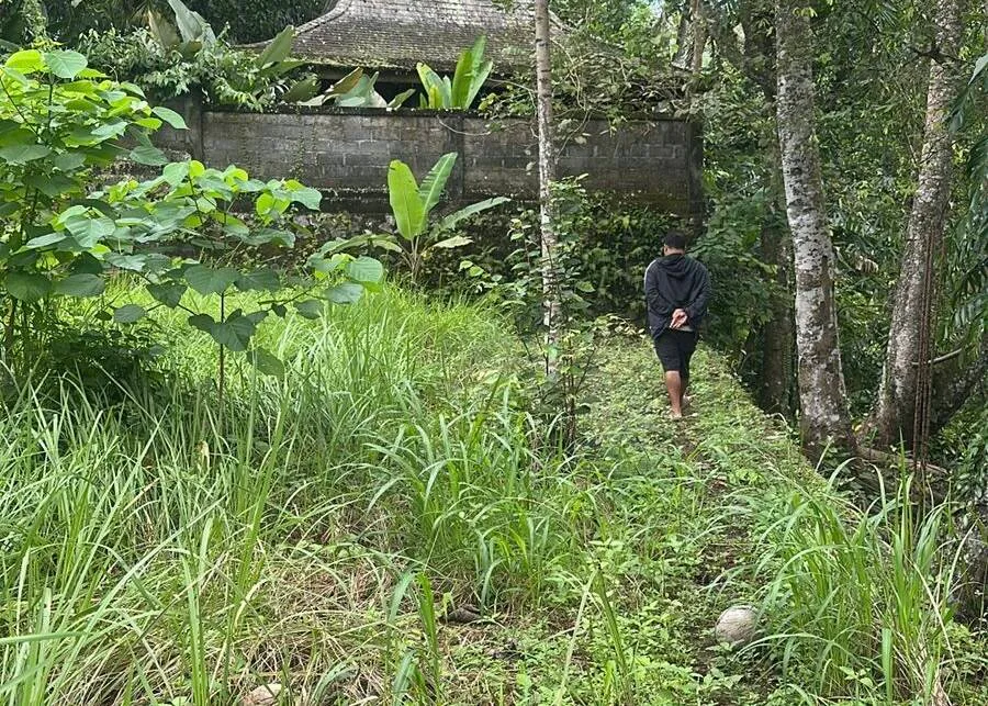 Riverside Land for Lease in Ubud with Petanu River Views — photo 2
