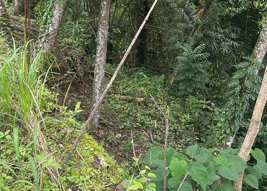 Riverside Land for Lease in Ubud with Petanu River Views — photo 3