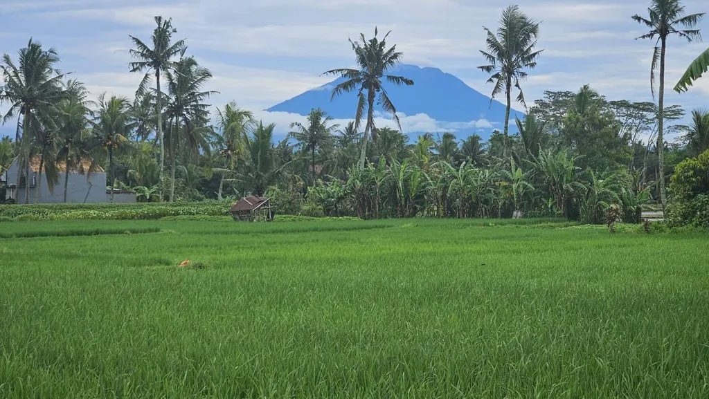 2 Bedroom Rice Field View Villa in Singapadu, Ubud for Sale — photo 3