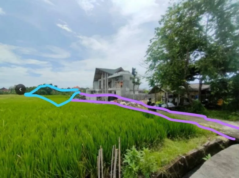 Peaceful Leasehold Land with Rice Field Views in Tumbak Bayuh
