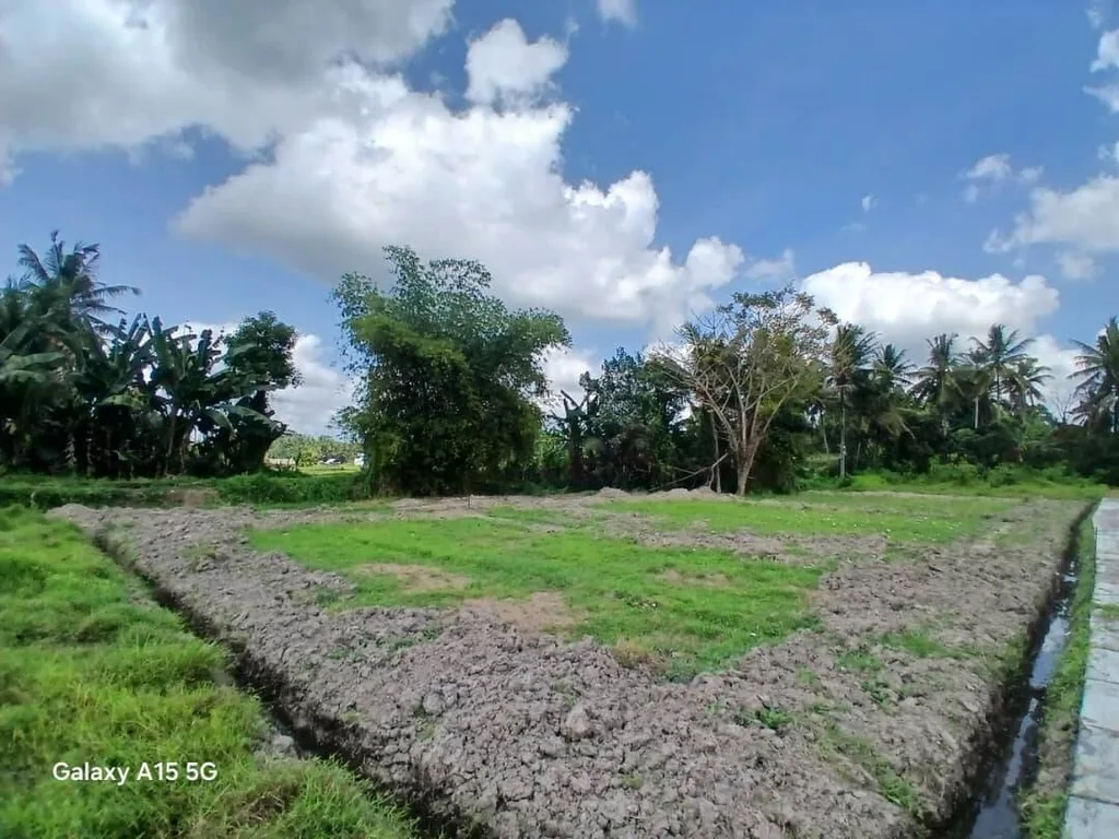 7.4 are Land in South Ubud with Rice Field Views for Sale — photo 2