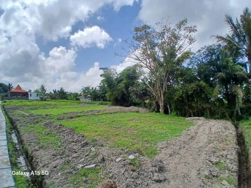 7.4 are Land in South Ubud with Rice Field Views for Sale — photo 3