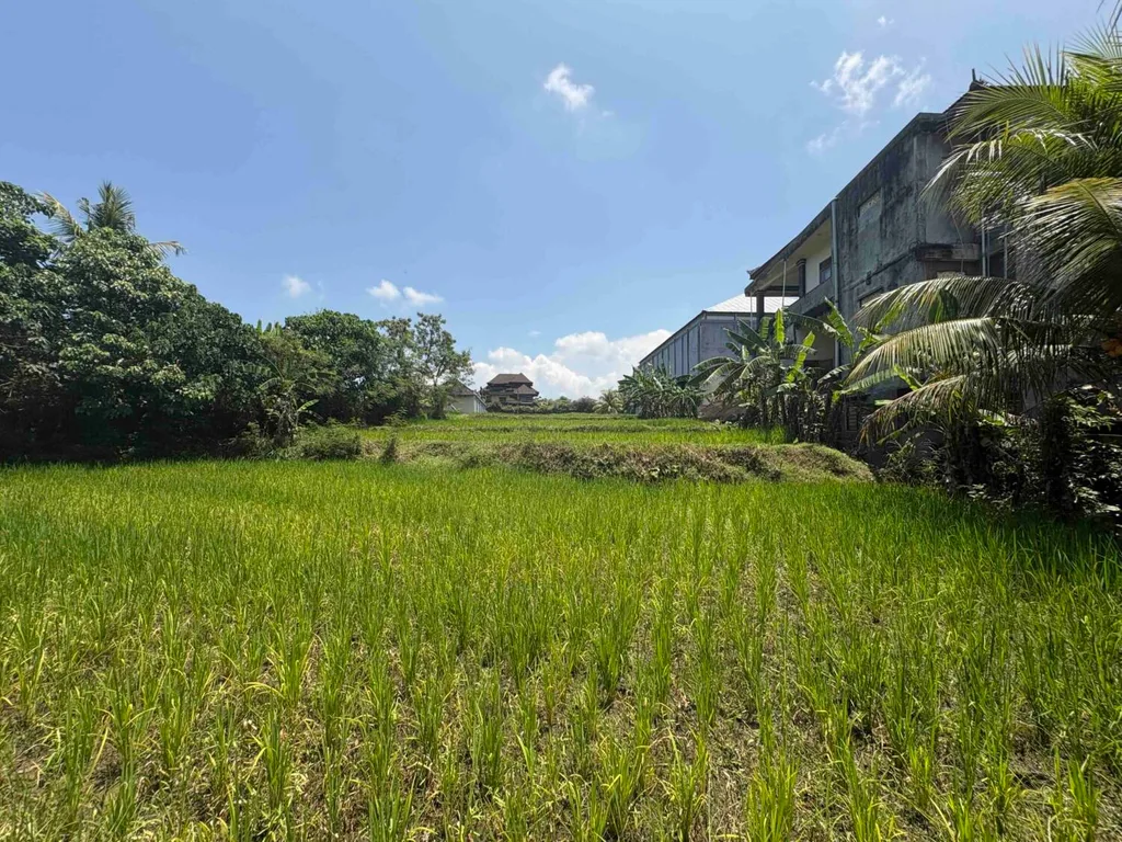 Prime 7 Are Pink Zone Land with Rice Field & River Views — photo 2