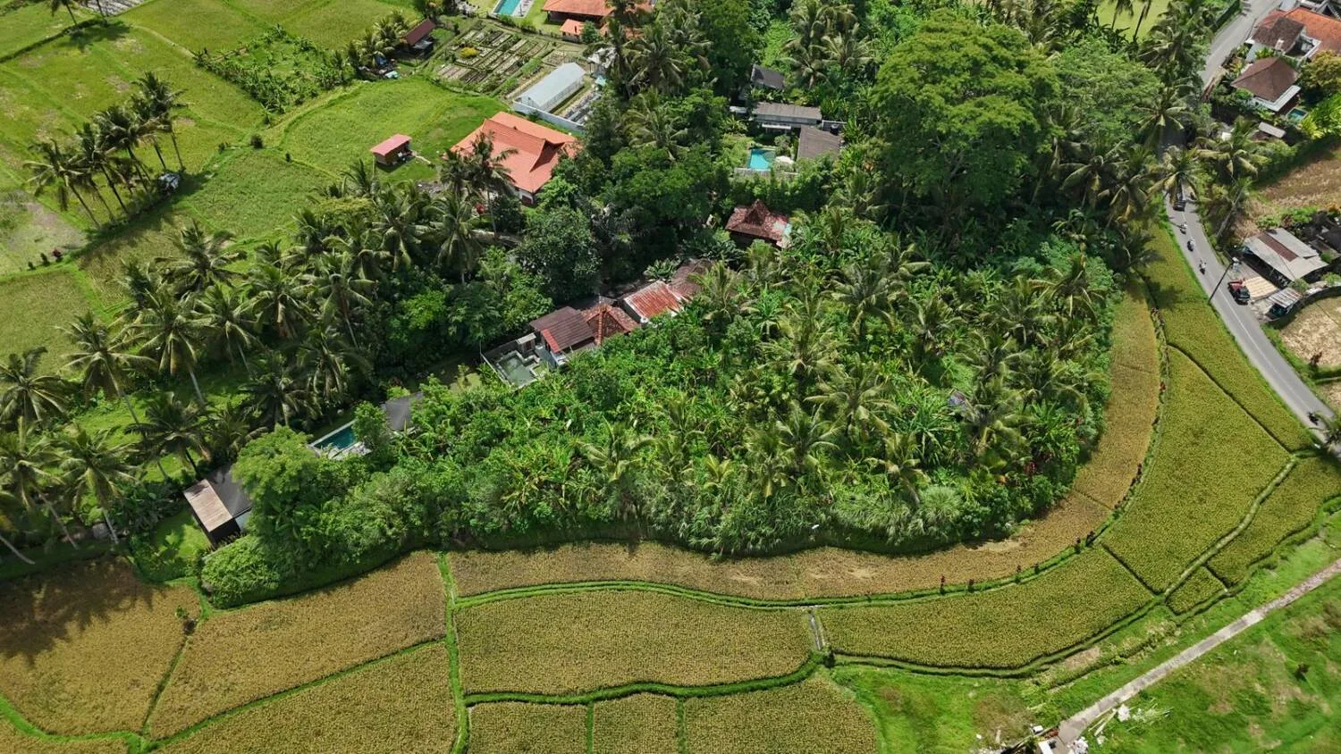 Prime Pink Zone Land on Main Road in Tirta Tawar Ubud