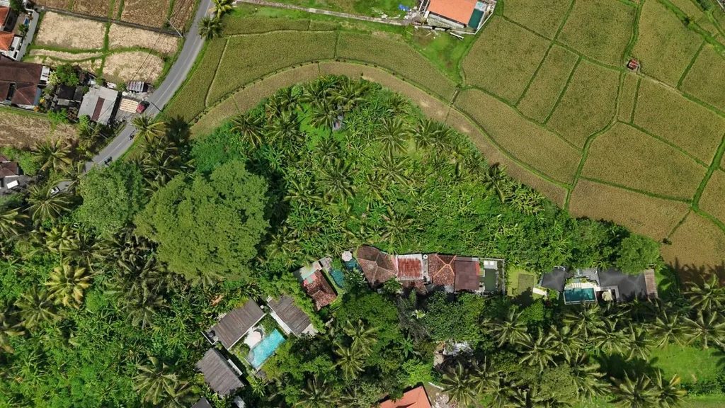 Prime Pink Zone Land on Main Road in Tirta Tawar Ubud — photo 5